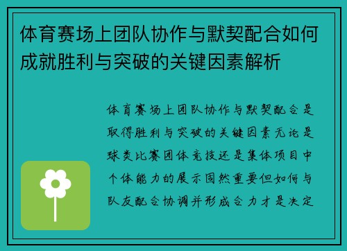 体育赛场上团队协作与默契配合如何成就胜利与突破的关键因素解析